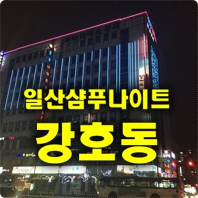 일산샴푸나이트